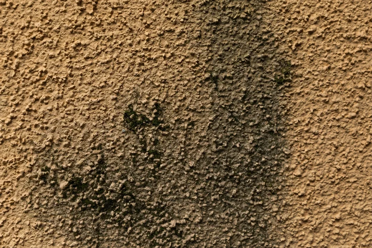 Crépi de façade à Somme